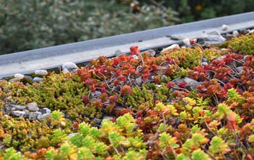 the cost of Wistanstow green roof installation