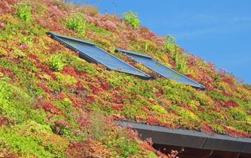 Wistanstow living roof systems